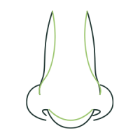 nose-complex-icon nose-complex-icon